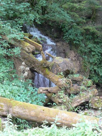 Vodeni tokovi_2008_021